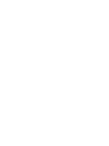 13.png
